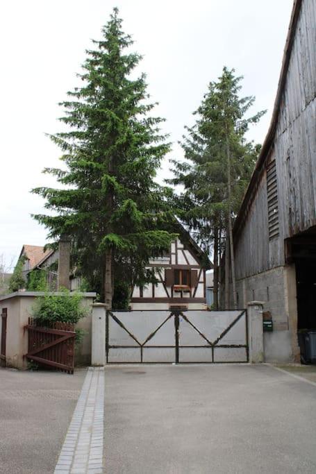 Spacieux Duplex 1 A 6 Personnes Ebersheim Bagian luar foto